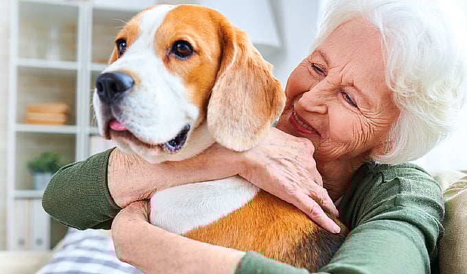 Pets shop and dementia